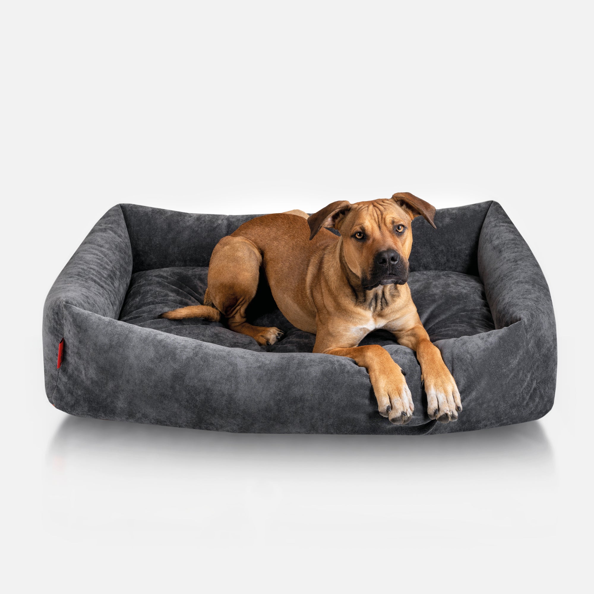 Hundebett Camo, Samt Anthrazit