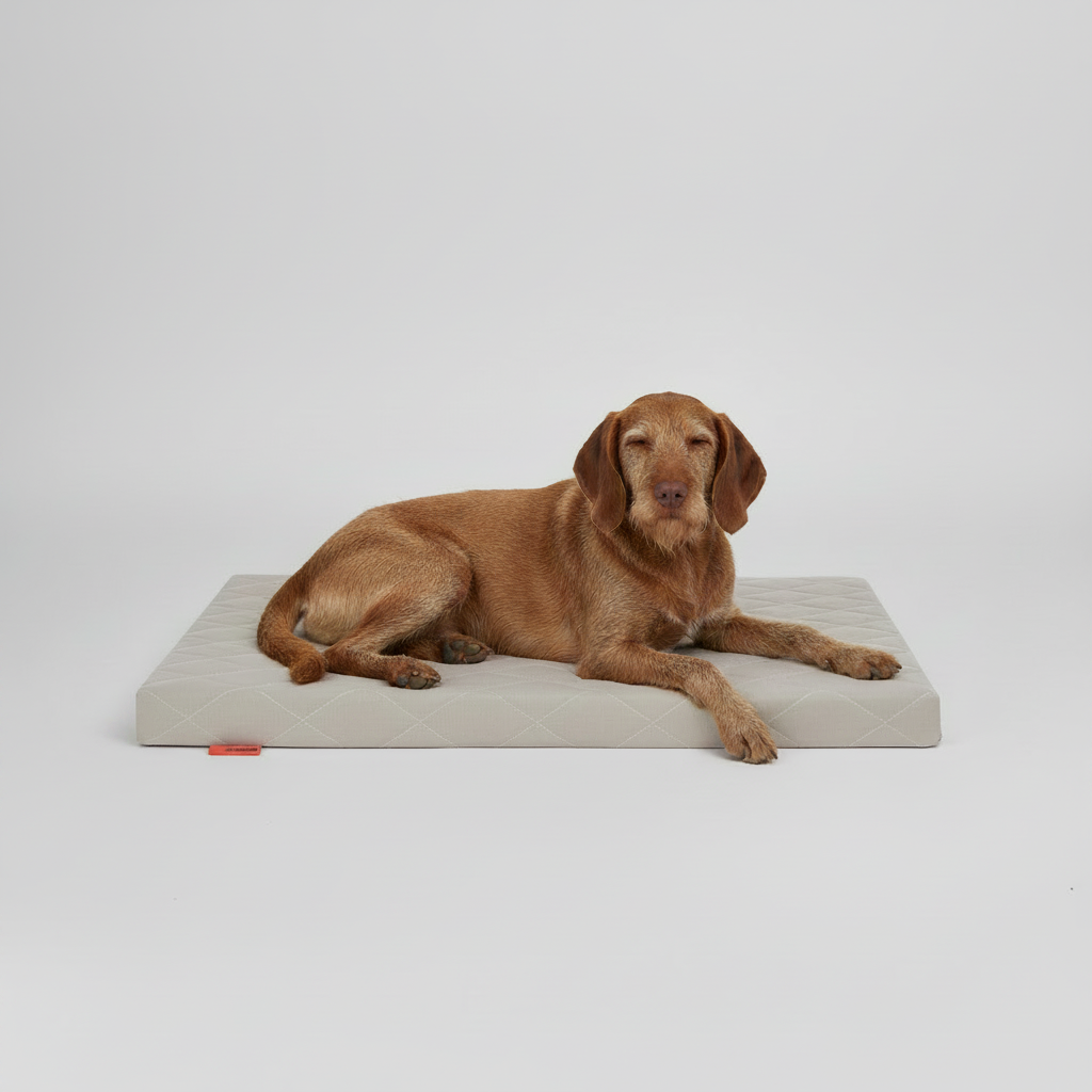 Hundebett FLAT - Sahara